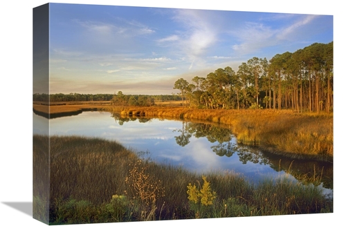 Global Gallery GCS-395992-1216-142 12 x 16 in. Lake Near Apalachicola&