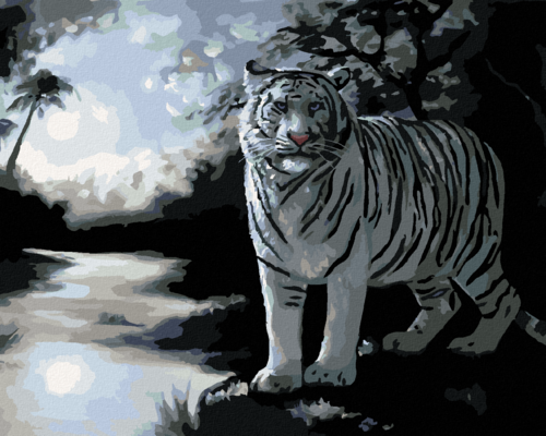 Zuty - Paint by Numbers - WHITE TIGER AND RIVER (D. RUSTY RUST), 40x50