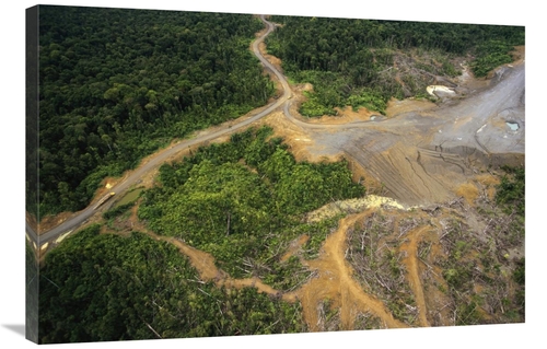 Global Gallery  24 x 36 in. Logging Erosion in Lowland Tropical Rainfo