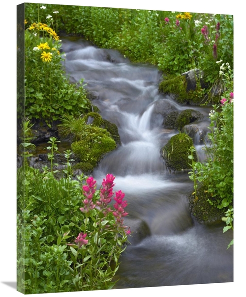 Global Gallery GCS-452173-2432-142 24 x 32 in. Orange Sneezeweed & Ind