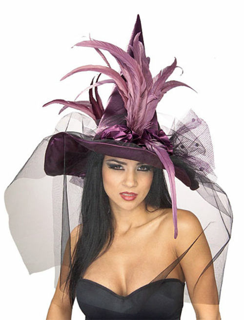 Rubies Costumes 154992 Purple Feather Adult Witch Hat