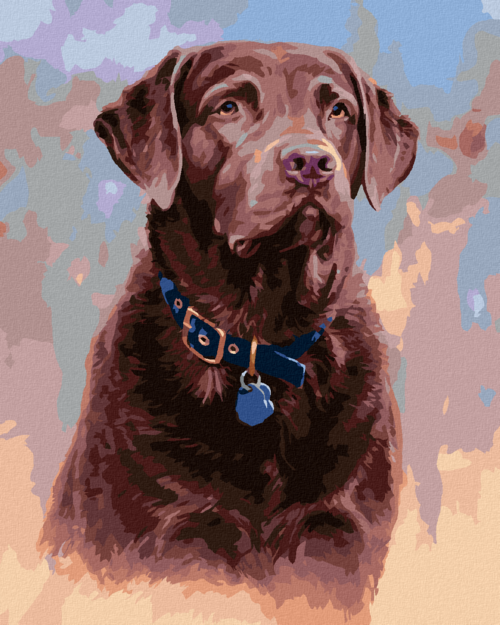 Zuty - Paint by Numbers - BROWN LABRADOR WITH BLUE COLLAR (JIM