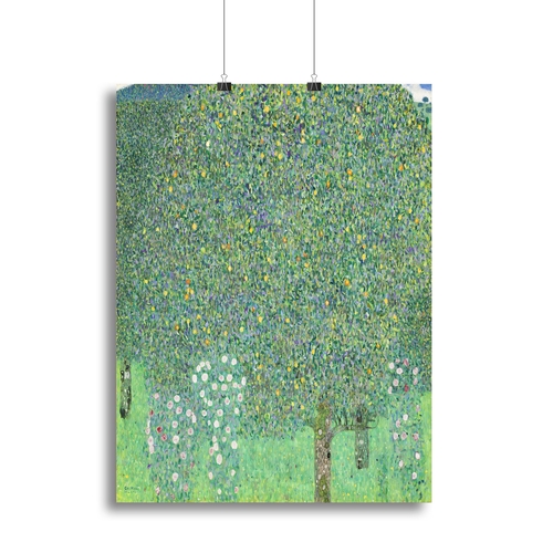 Rose bushes under the Trees by Klimt Canvas Print or Poster