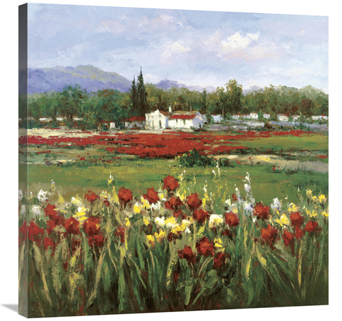 Global Gallery GCS-124055-3030-142 30 x 30 in. Red Flower Field Art Pr