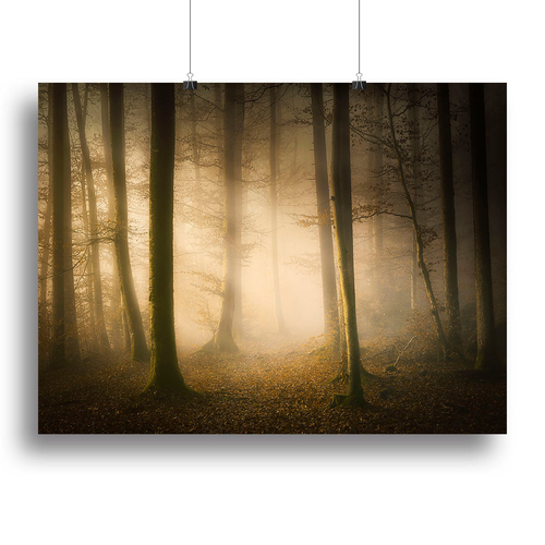 November Whispers Canvas Print or Poster
