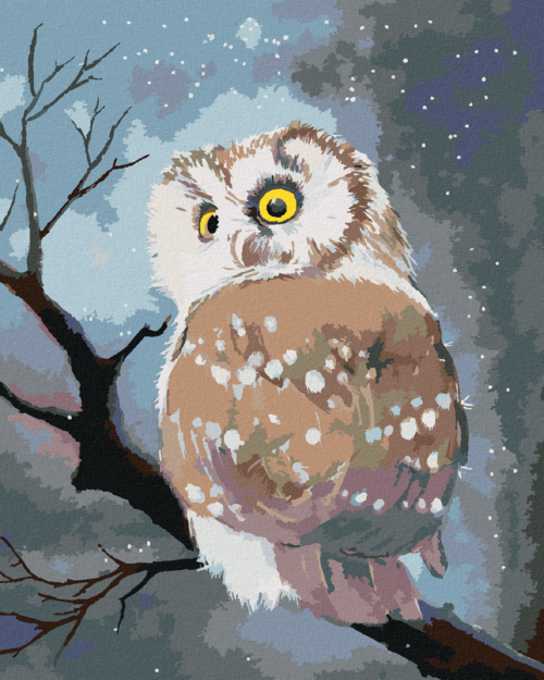 Paint by Numbers - WINTER OWL