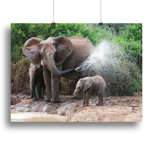 African elephant mother and baby cooling off Canvas Print or Poster
