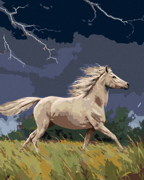 Zuty - Paint by Numbers â€“ WHITE HORSE IN A STORM (JOE HAUTMAN),