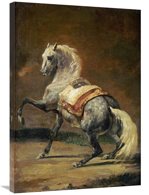 Global Gallery GCS-266377-36-142 36 in. Dappled Grey Horse Art Print -