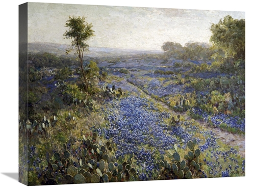 Global Gallery GCS-266954-22-142 22 in. Field of Texas Bluebonnets & P