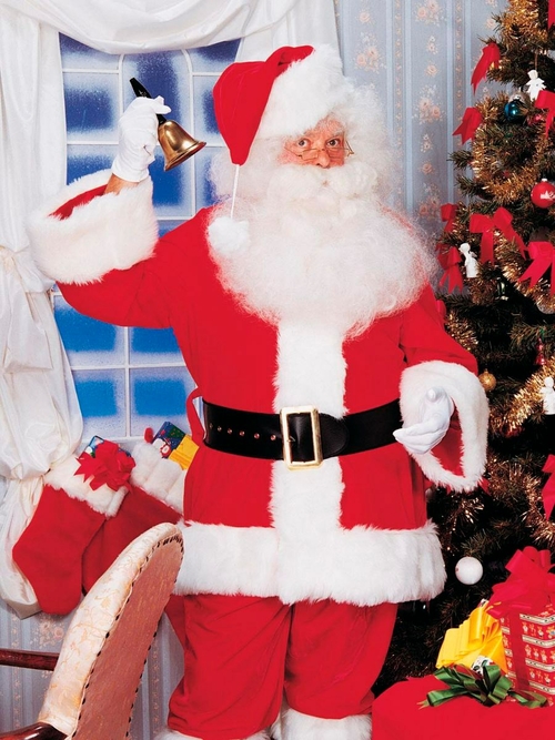 Rubies 275353 Christmas Mens Premium Professional Santa Suit - Standar