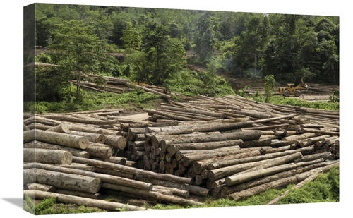 Global Gallery GCS-397652-1624-142 16 x 24 in. Logs in Logging Area