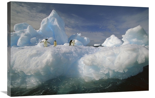 Global Gallery GCS-453464-2436-142 24 x 36 in. Adelie Penguin Group on