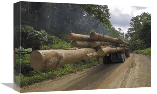 Global Gallery GCS-397662-1218-142 12 x 18 in. Truck with Timber From 