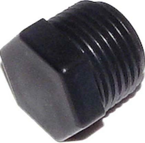 Pentair Rainbow R172134 0.5 in. NPT Plug