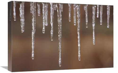 Global Gallery GCS-452846-1624-142 16 x 24 in. Single Strand of Icicle