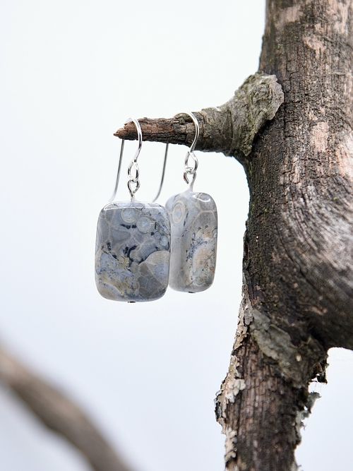 Crazy Lace Agate Earrings