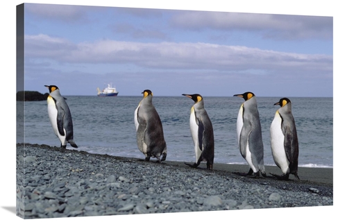 Global Gallery GCS-452450-2436-142 24 x 36 in. King Penguin Group on R