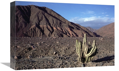 Global Gallery GCS-451083-1218-142 12 x 18 in. Atacama Desert Located 