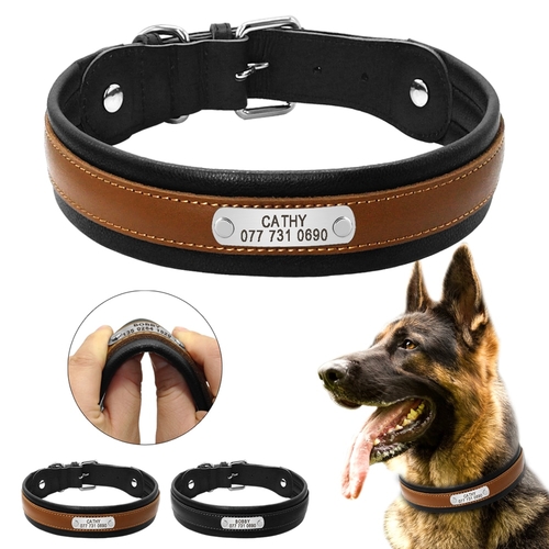 Dog id best sale collars personalized