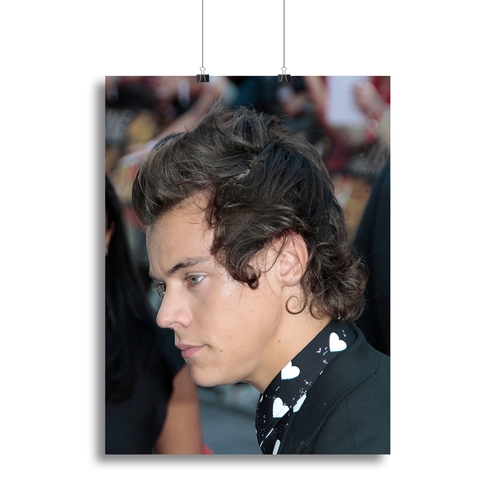 Harry Styles 2013 Canvas Print or Poster