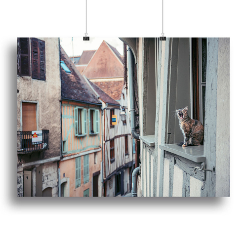 Cat In Window Canvas Print or Poster