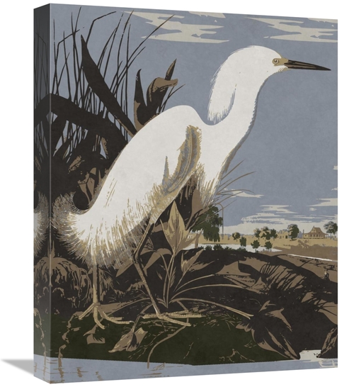 Global Gallery GCS-394761-1620-142 16 x 20 in. Audubon Decor - Snowy E