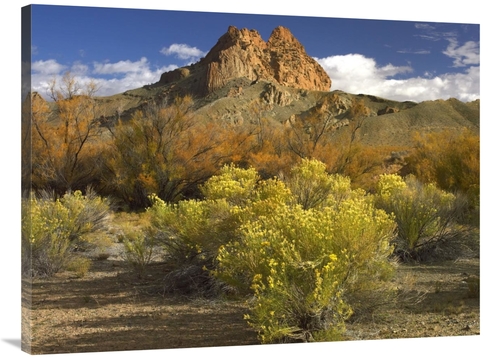 Global Gallery GCS-395963-3040-142 30 x 40 in. Mitten Rock, New Me