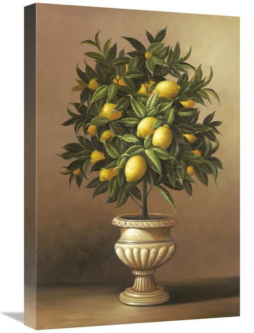 Global Gallery GCS-127131-1624-142 16 x 24 in. Potted Lemon Tree Art P