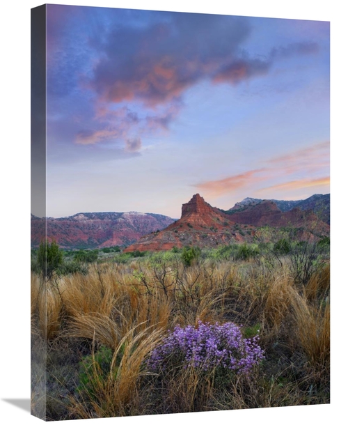Global Gallery GCS-452239-1824-142 18 x 24 in. Caprock Canyons State P
