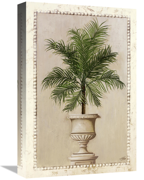 Global Gallery GCS-119599-1218-142 12 x 18 in. Palm Appeal II Art Prin