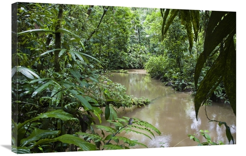 Global Gallery GCS-452672-2436-142 24 x 36 in. River in Lowland Rainfo