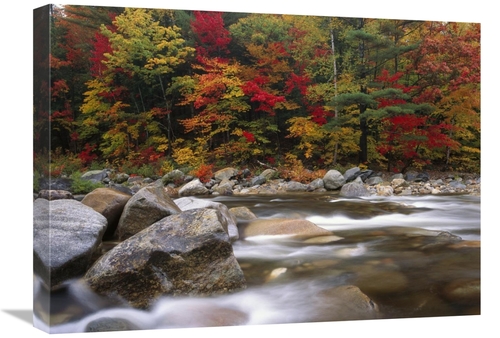 Global Gallery GCS-396923-1824-142 18 x 24 in. Wild River in Eastern H