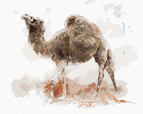 Paint by Numbers - CAMEL