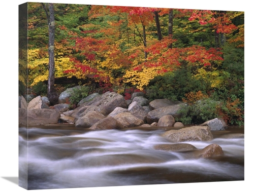 Global Gallery GCS-463204-22-142 22 in. Autumn Along Swift River, 