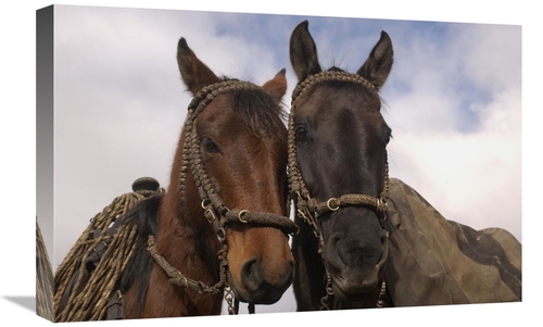 Global Gallery GCS-453134-1624-142 16 x 24 in. Horses Pair Belonging t