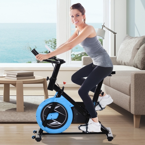 Soozier Upright Stationary Exercise Bike Belt Drive Home Gym Indoor