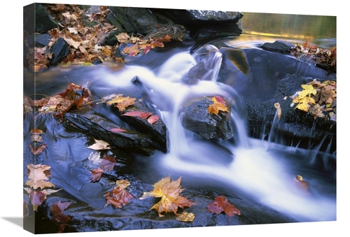 Global Gallery GCS-452019-1824-142 18 x 24 in. Autumn Leaves in Little