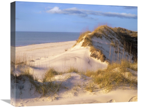 Global Gallery GCS-396340-22-142 22 in. Coastal Sand Dunes, Saint 