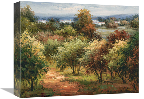 Global Gallery GCS-132573-1216-142 12 x 16 in. Sun Dappled Country Roa
