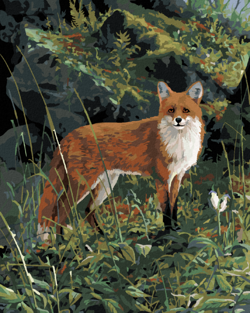 Zuty - Paint by Numbers â€“ FOX IN THE FOREST (JAMES HAUTMAN), 40x50