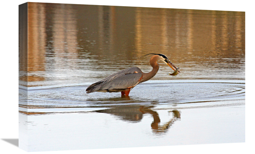 Global Gallery GCS-486415-22-142 22 in. The Fisherman Art Print - Vic 