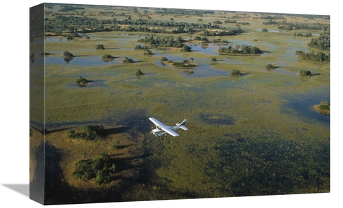 Global Gallery GCS-452365-1218-142 12 x 18 in. Flight Safari, Okav