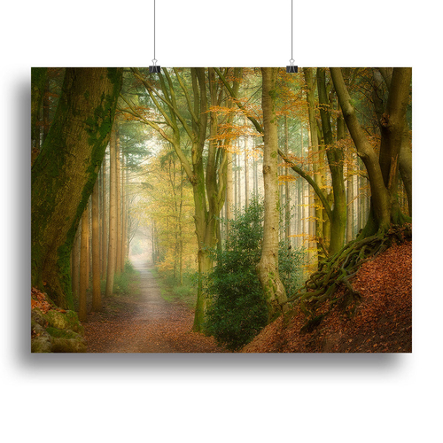 Following Fog Canvas Print or Poster