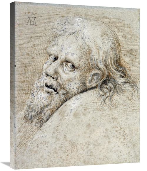 Global Gallery GCS-266557-30-142 30 in. The Head of a Bearded Man Art 