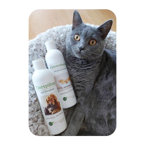 Grooming kit for cats | Shampoo & conditioner | gentle coat care