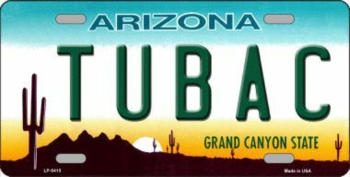 Smart Blonde LP-5415 Tubac Arizona Novelty Metal License Plate