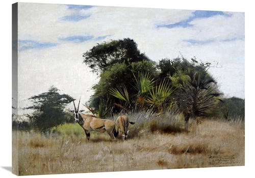 Global Gallery GCS-268205-36-142 36 in. Gemsbok Oryx Art Print - Wilhe