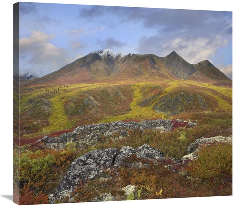 Global Gallery GCS-396450-30-142 30 in. Cloudy Range, Tombstone Te