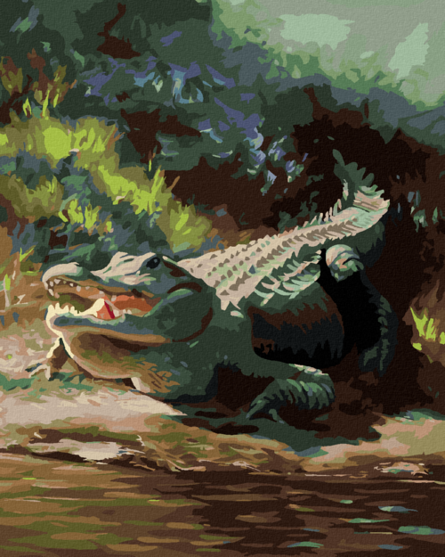 Zuty - Paint by Numbers - ALLIGATOR LYING BY THE WATER VIII (D. RUSTY